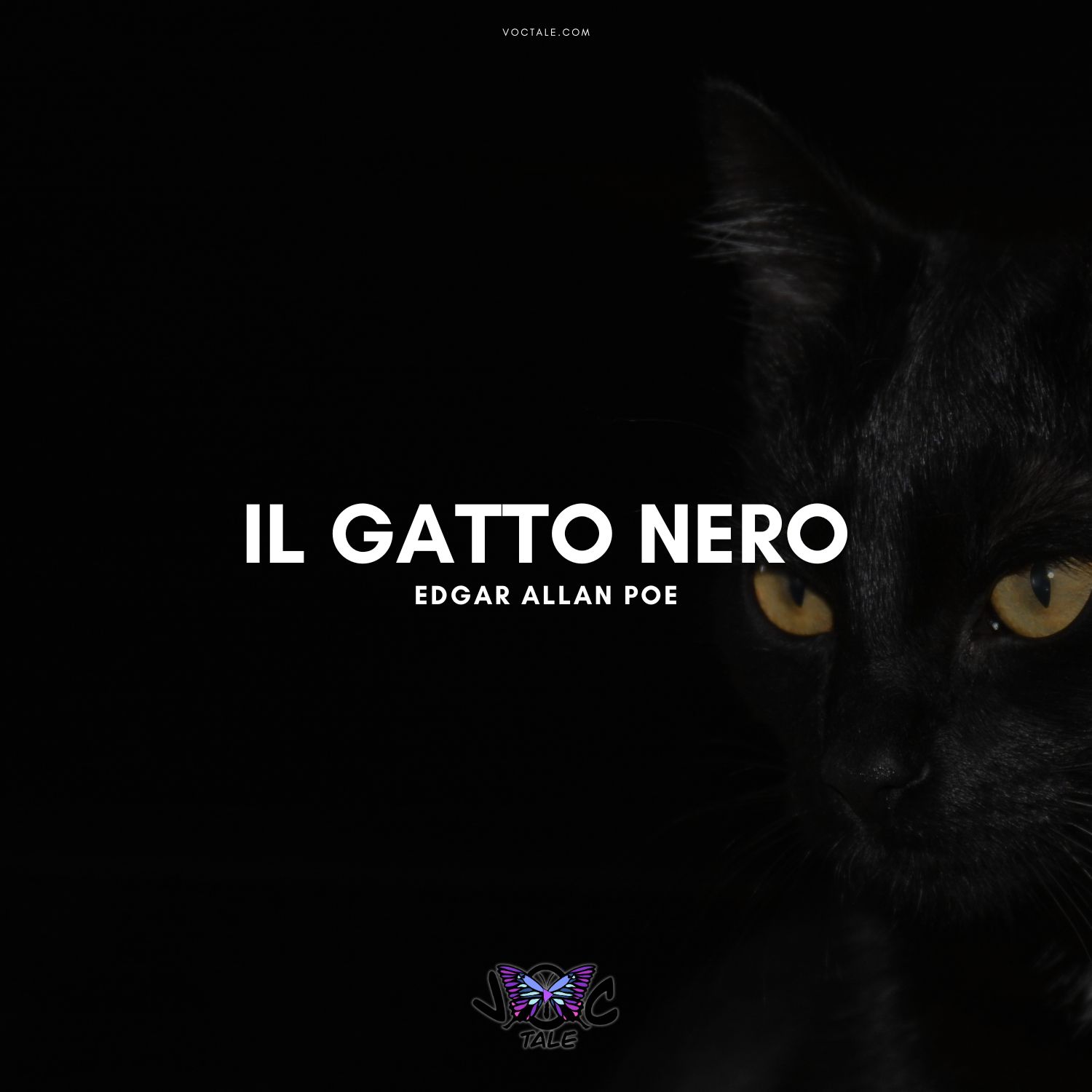 Il gatto nero