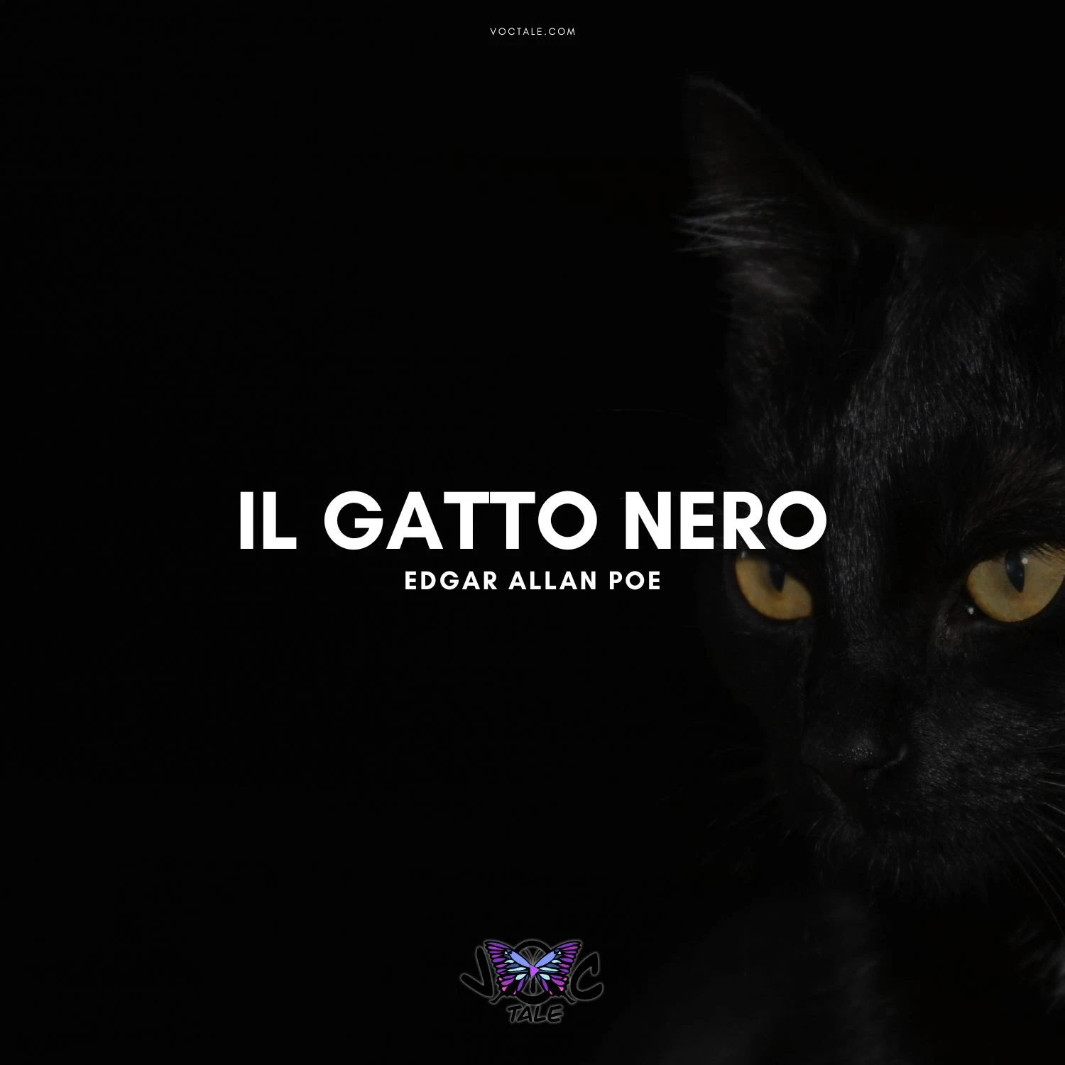 Il gatto nero