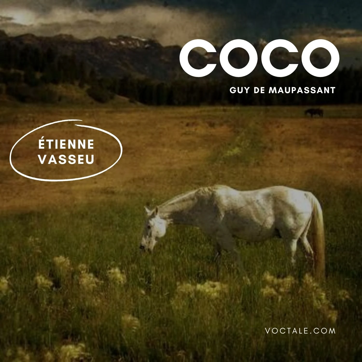 Coco